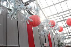 Flocons de neige Jardin Botanique