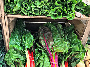 A Perfect Autumn Soup: Tuscan White Bean Soup with Swiss Chard