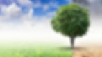 Web Background-2.jpg