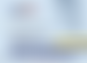 Profesional Service Standard for Technologist and Technicians