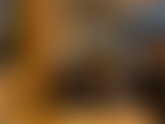 Unlock Hamamatsu: A Premium Dining Experience Available Only Through S-REIT