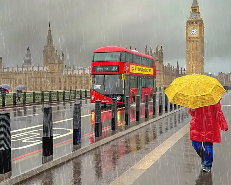 A Half-Pound Loss and a Walk in the Rain