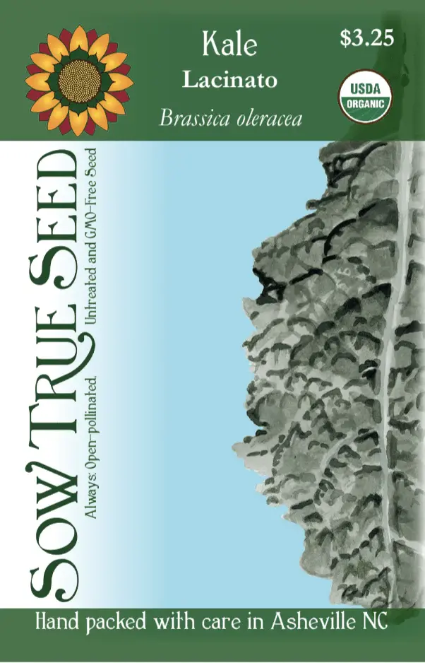 Kale - Lacinato/Dinosaur Seed