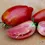Thumbnail: San Marzano - Paste Tomato Seed