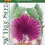 Thumbnail: Watermelon Radish Seed