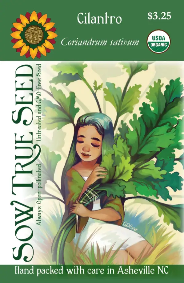 Cilantro Herb Seed