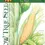 Thumbnail: Sweet Corn Seed