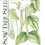 Thumbnail: Bush Bean Maxible Haricot Vert