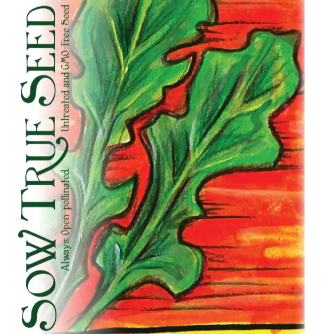 Arugula Seed