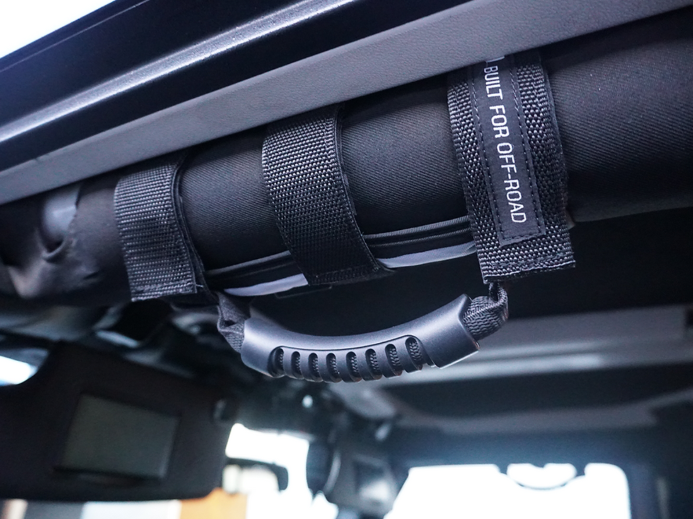 Thumbnail: LIGHTED GRAB HANDLES