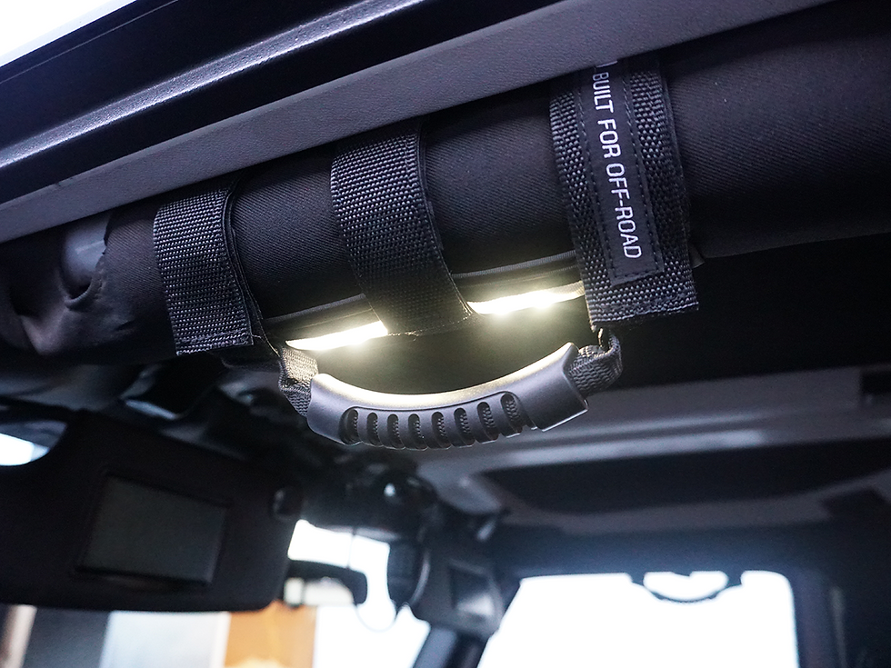 Thumbnail: LIGHTED GRAB HANDLES