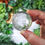 Thumbnail: Garden Quartz Crystal Sphere | Witchy Crystal Ball | Virgo Zodiac Gemstone Gift