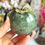 Thumbnail: Prehnite and Epidote Crystal Sphere | Witchy Crystal Ball | Gemini Zodiac
