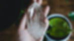 Hand holding a clear crystal against blurred green leaves and a plant pot. Natural setting, earthy and calming mood.