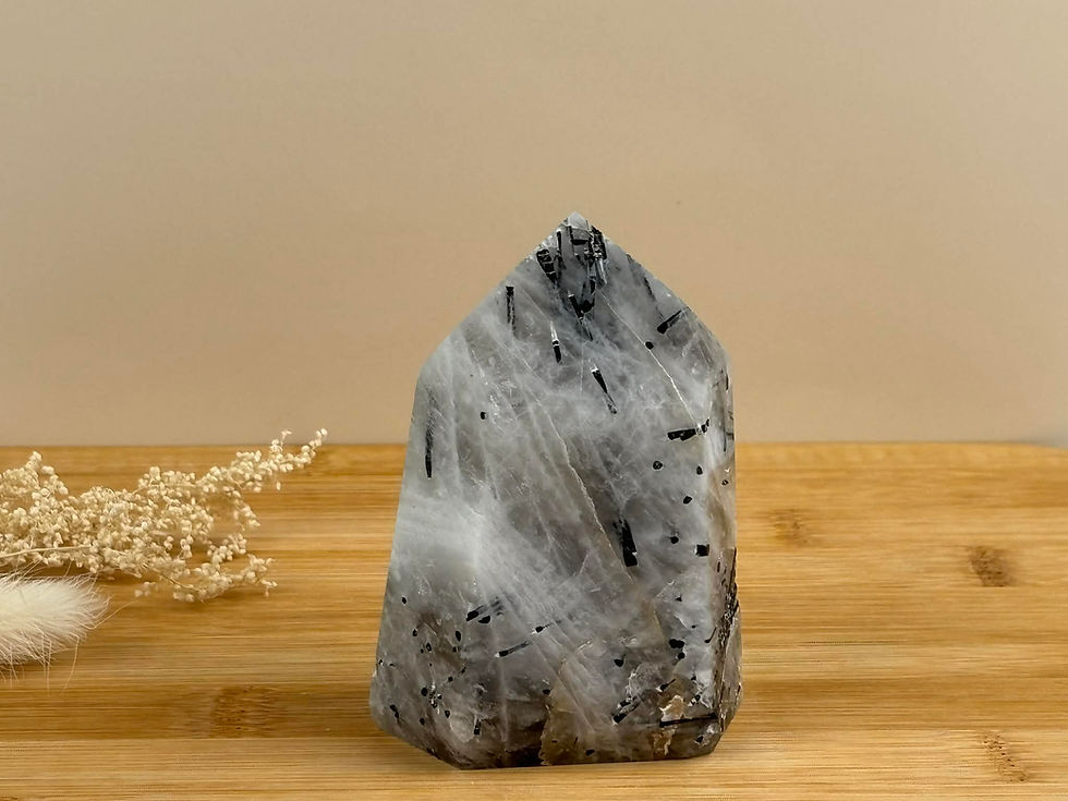 Miniature : Pointe de cristal de roche et tourmaline noire sur un plateau en bois