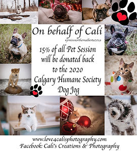 15%offpetsessions.jpg