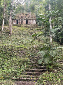 Ruines mayas de Yaxchilán au bord du fleuve Usumacinta, Chiapas, Mexique
