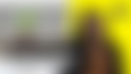 Constance André-Aigret, coordinatrice d’APRÈS-VD se présente.