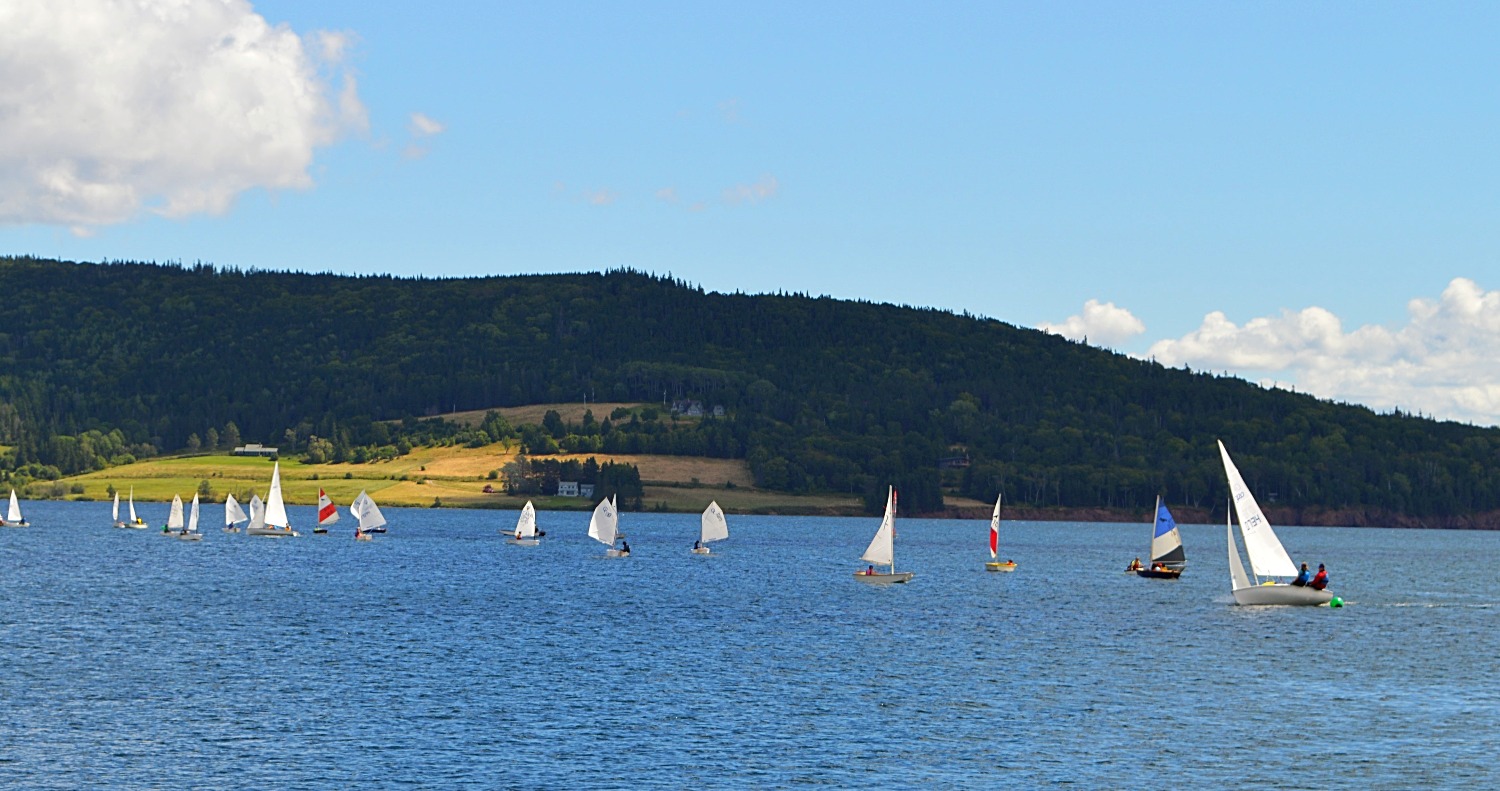 Aboutus Cape Breton Blue Thistle Tours