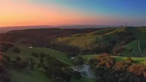 Rolling green Adelaide Hills at sunset, casting long shadows. A winding path and scattered trees are visible, creating a serene, tranquil scene.