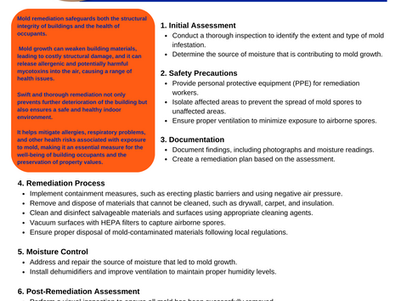 Mold Remediation