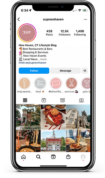 IG Screenshot Profile.png