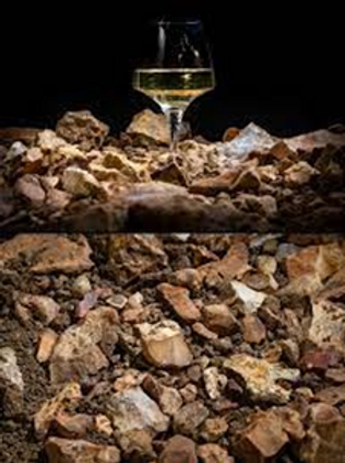 プイィ・フュメ生産地、石灰岩土壌