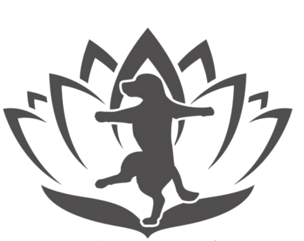 Zen Dog Grooming