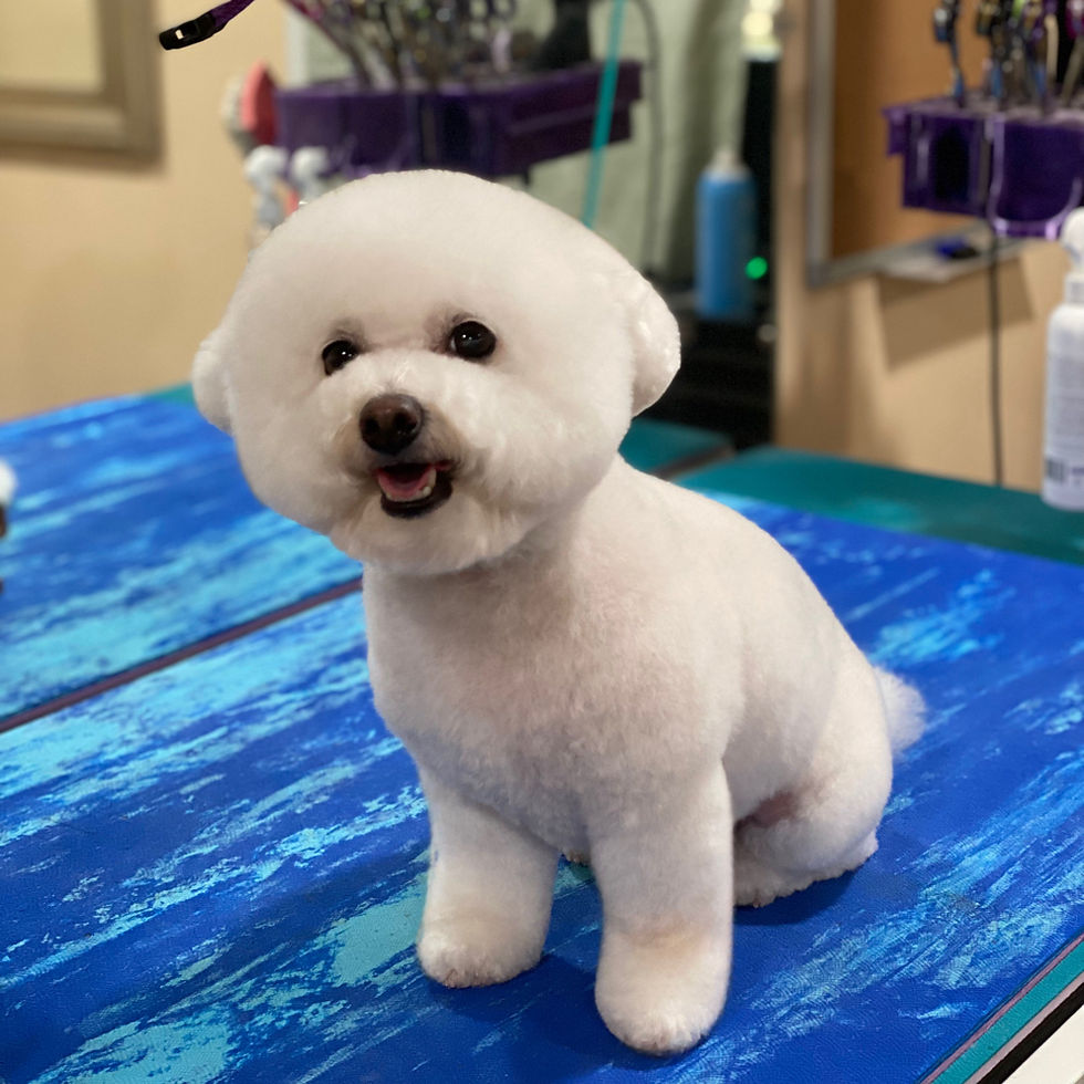 170614219086ab0ec4474f456abade57343ae57a91