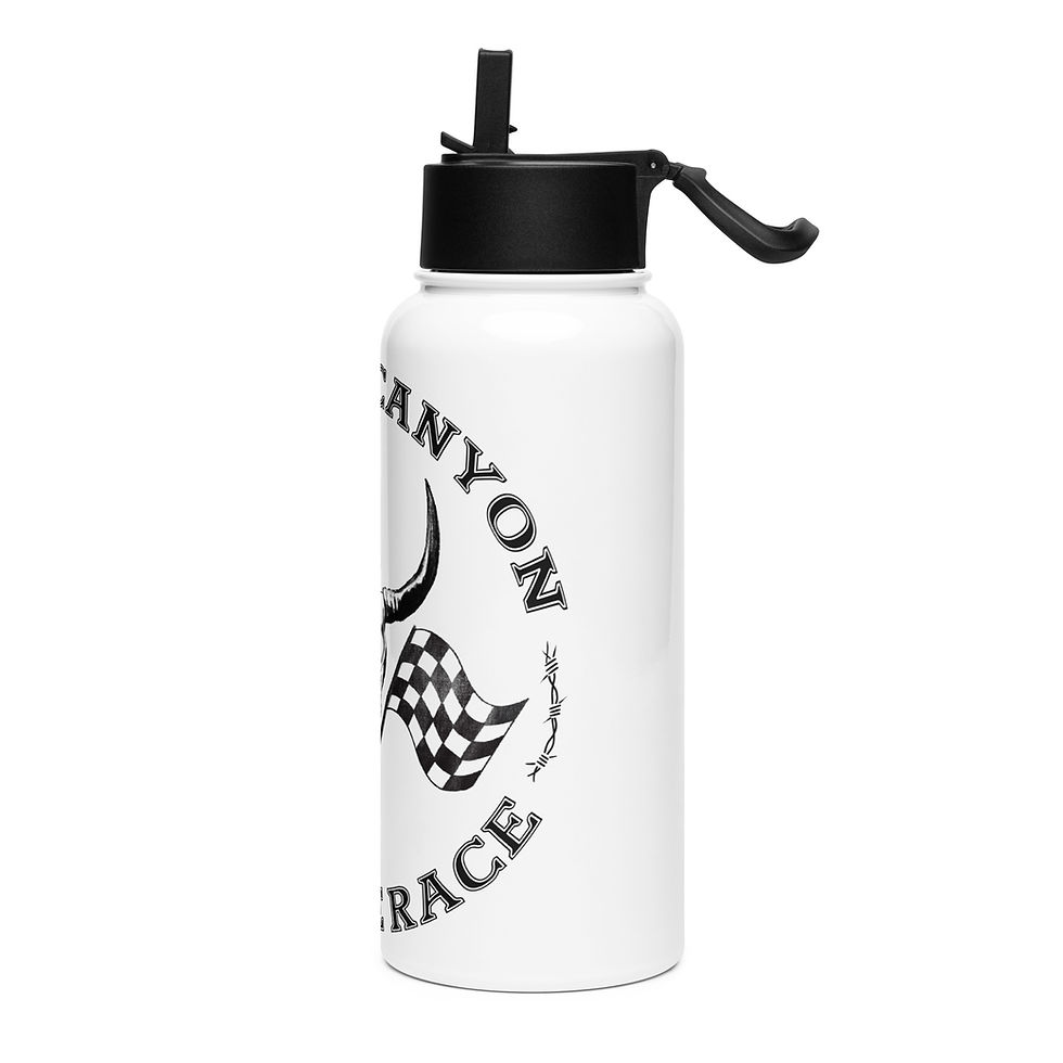 Thumbnail: Cactus Canyon Stainless steel water bottle with straw lid
