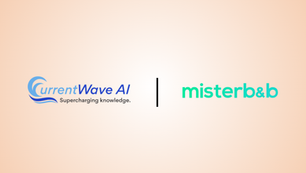 Customer Success Story: misterb&b