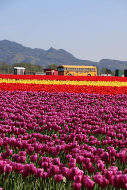 944917_795575653911880_4249489069123213090_n