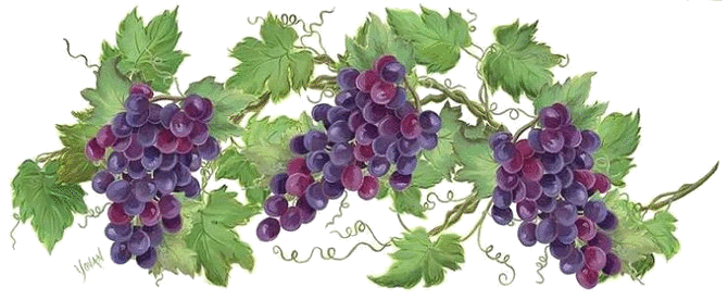 grapes.gif