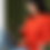 Thumbnail: 2025 In Chapters