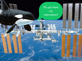Outing #15: Making Reservations at ISS