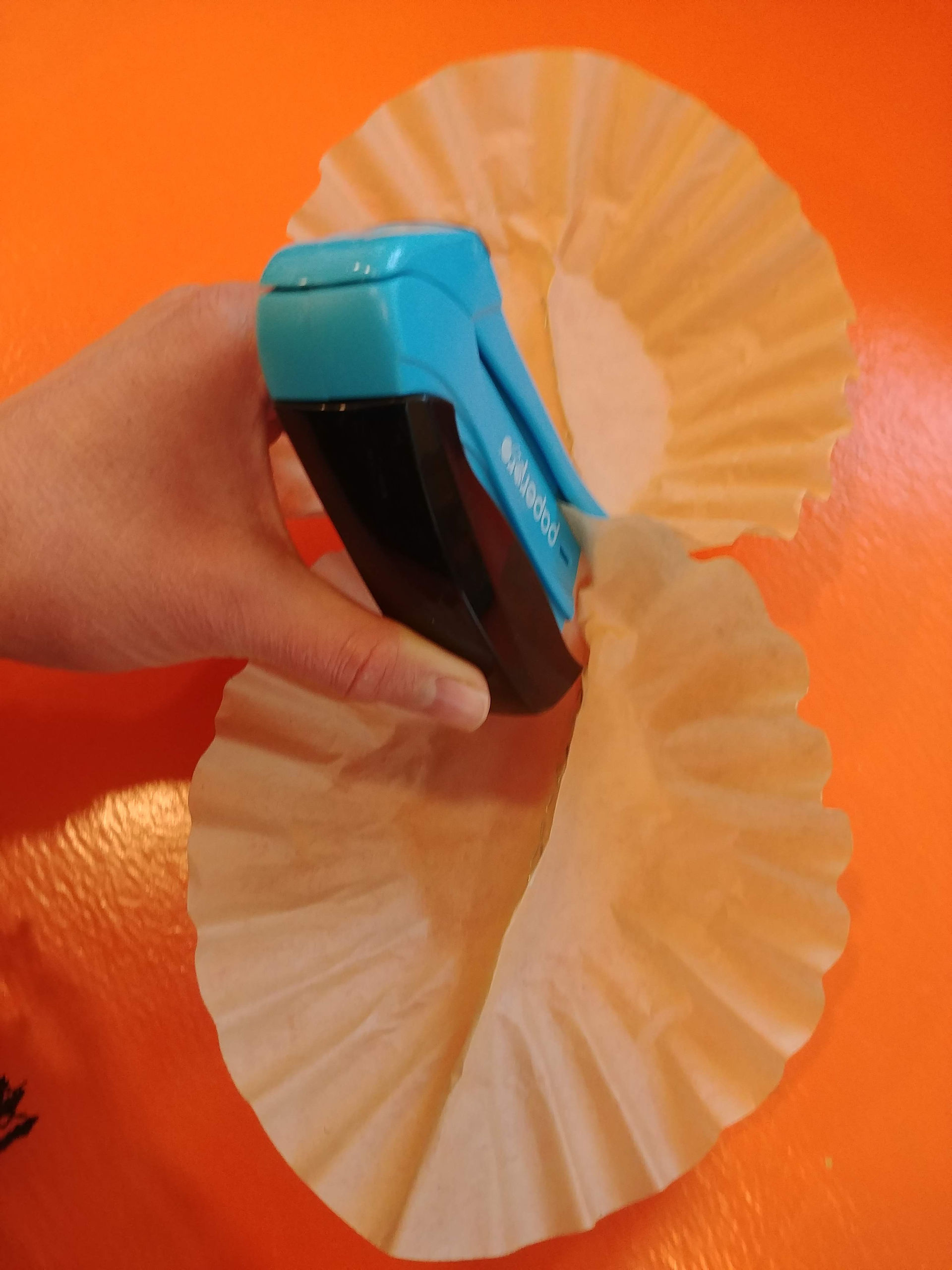 Step 4: Align ridge & staple