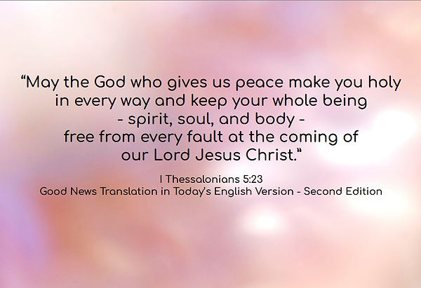 11.17.25 web banner.jpg