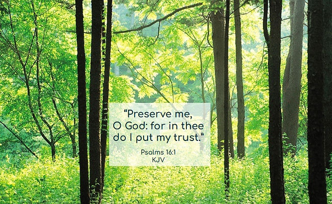 6.8.26 Preserver.jpg