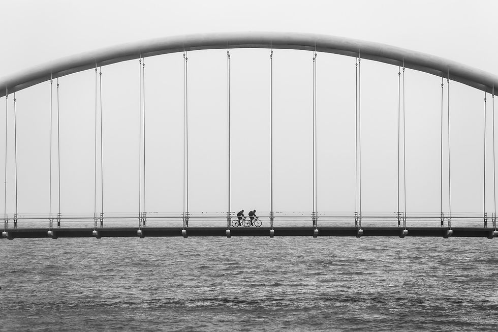 bicycle_2bikes_lowres.jpg