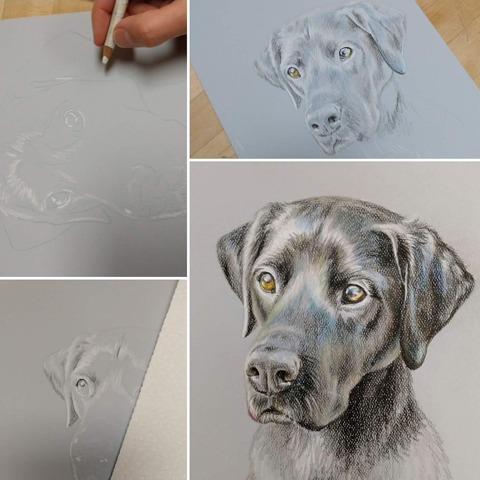 Thumbnail: 9" x 12" colored pencil pet portrait, colored fully rendered