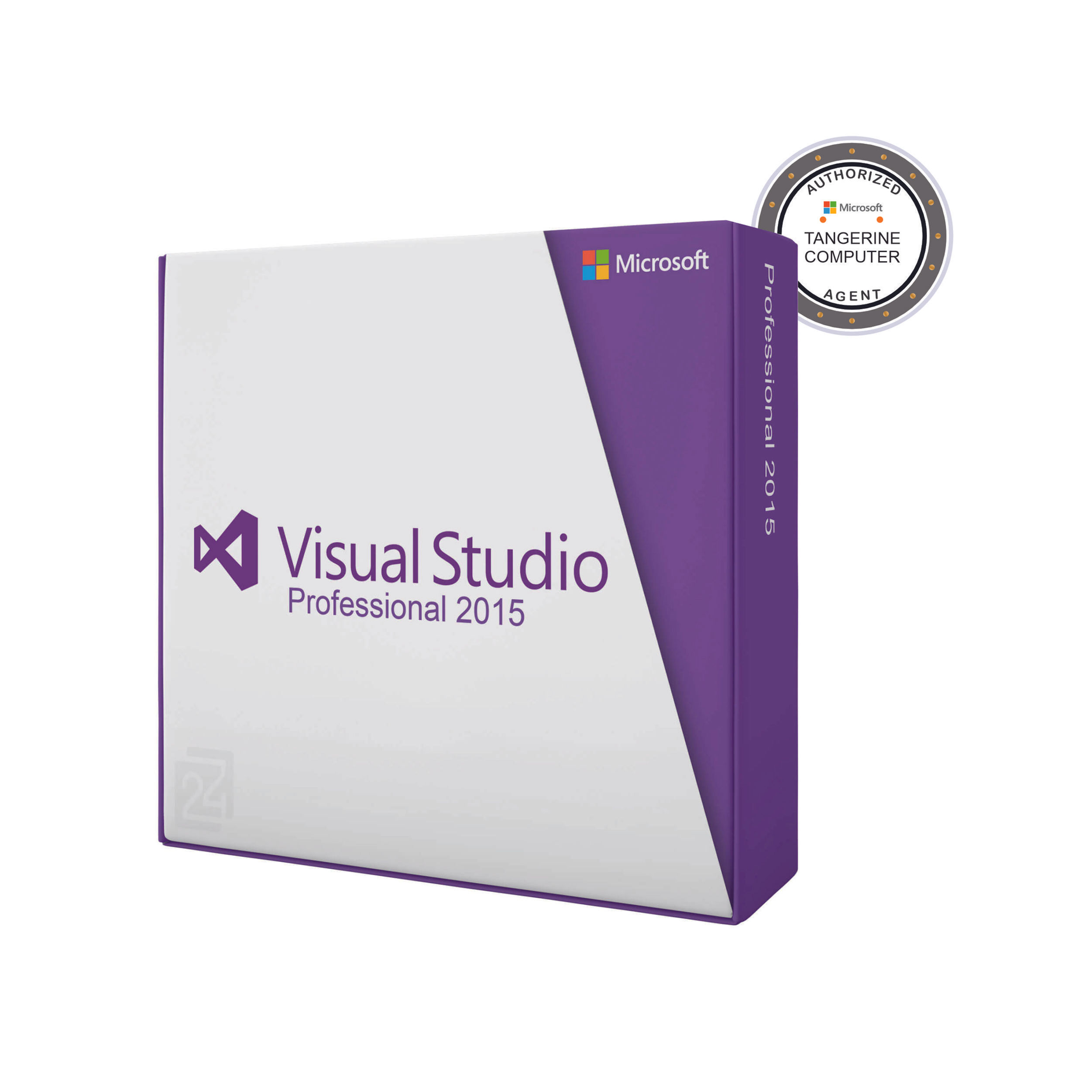Visual Studio 2015 Professional License