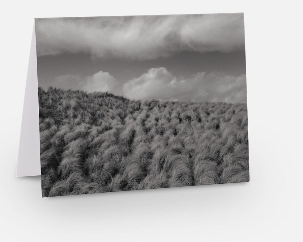 Thumbnail: Custom Notecards