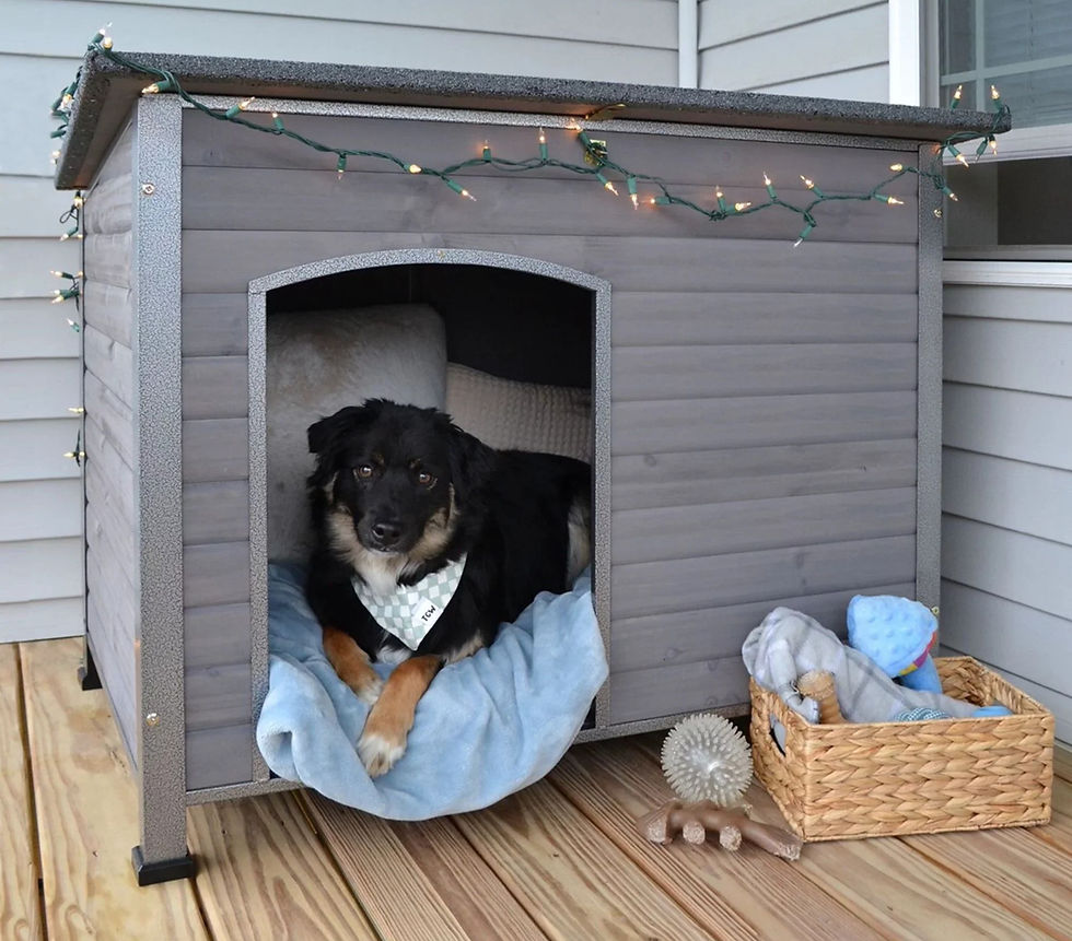 Ways to Keep Your Outdoor Dogs Warm This Winter