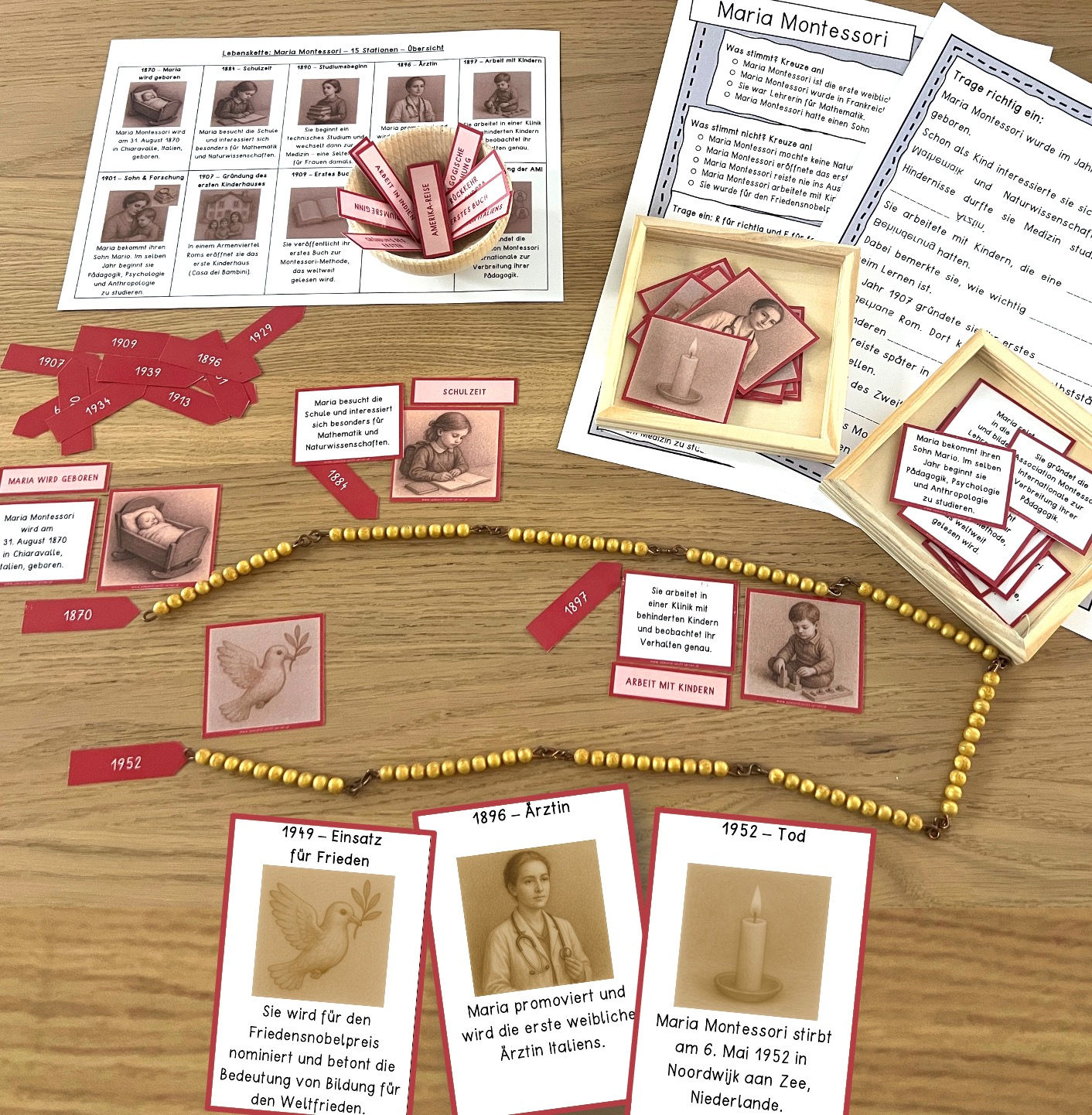 Maria Montessori Lebenskette und doppelseitige Kopiervorlage