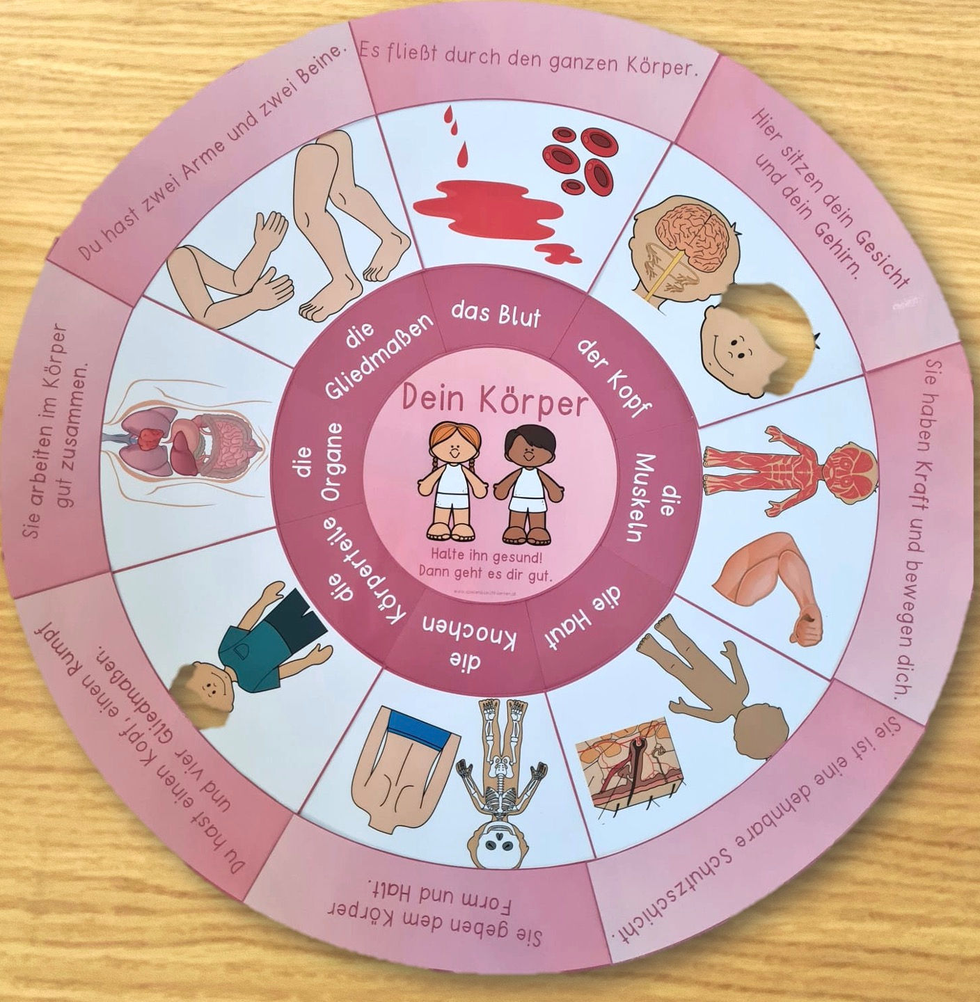 Körper Legekreis 1 (Einfach mit wenig Text)