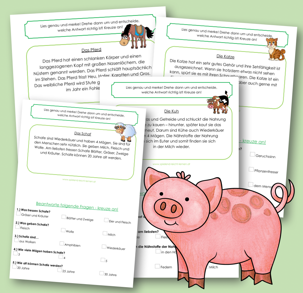 Bauernhoftiere – richtig oder falsch?