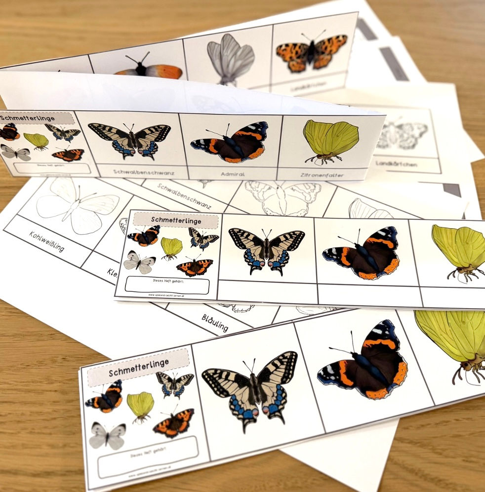 Schmetterlinge Leporello (vierfachdifferenziert)
