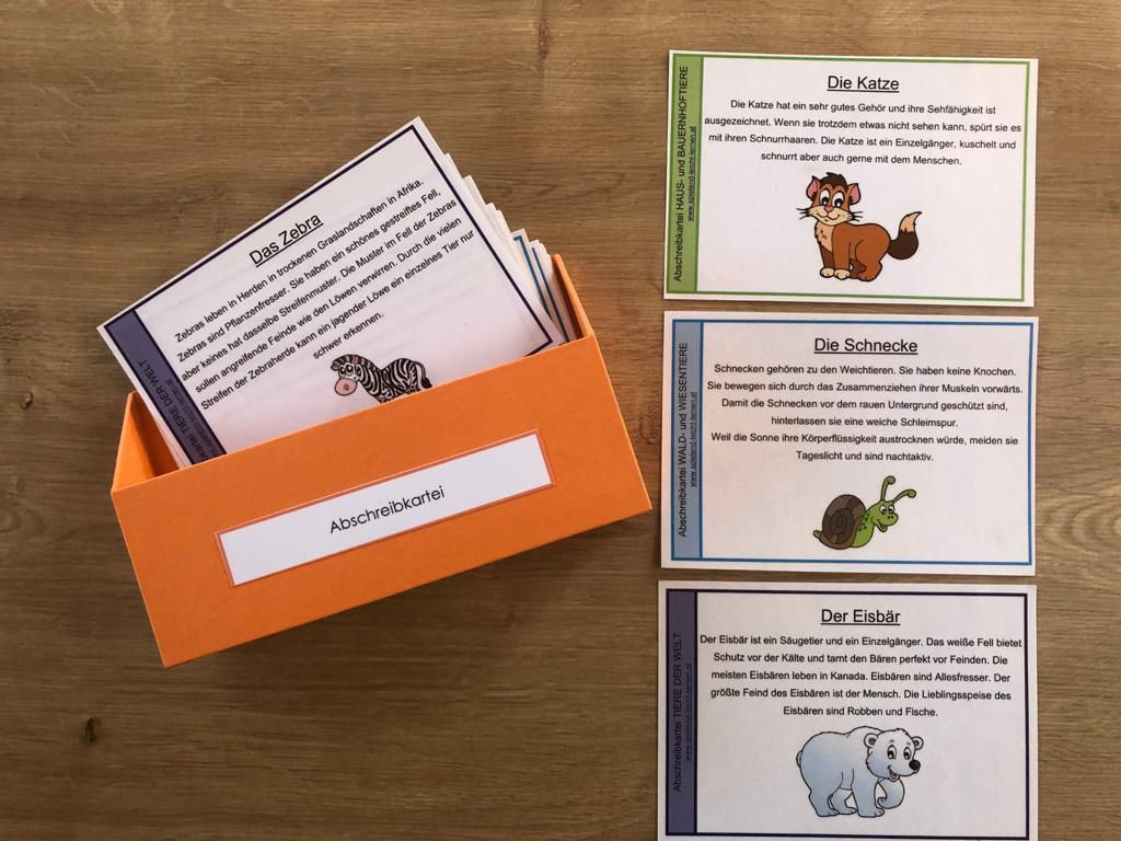 Abschreibkarteien SET