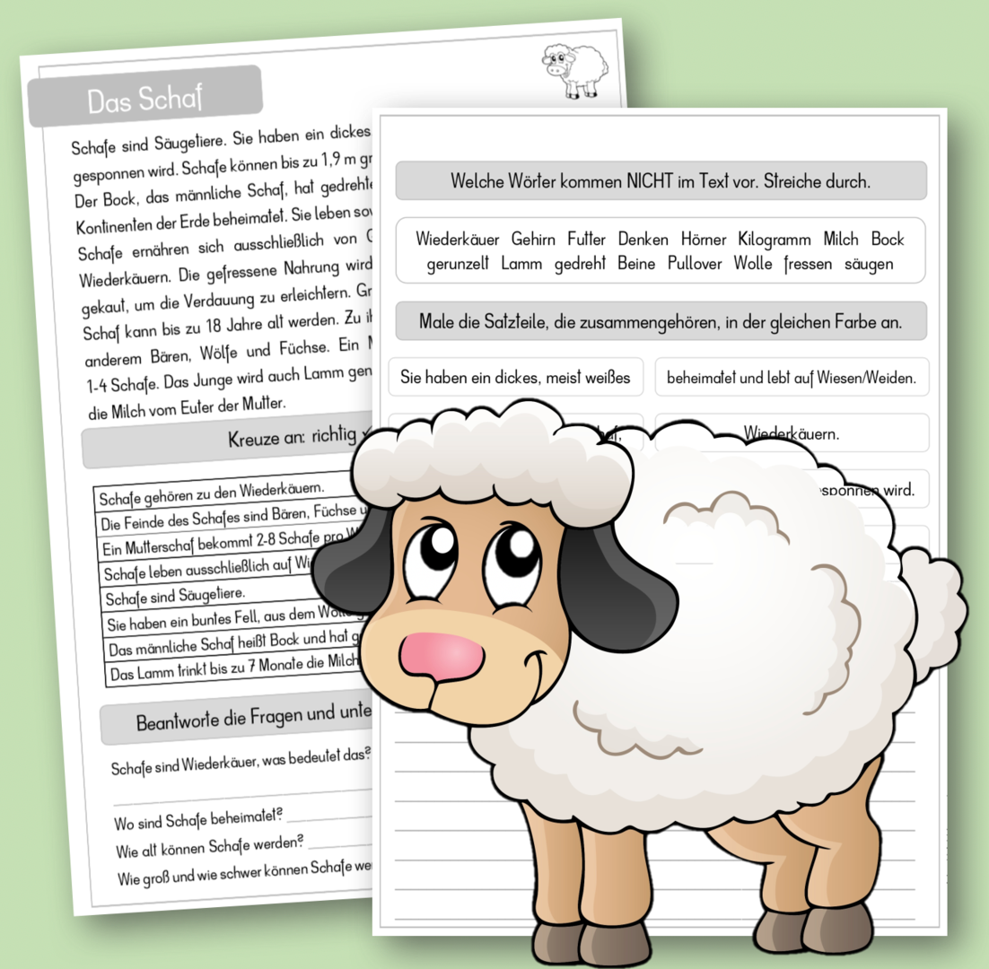 Leseverständnis Schaf - Kopiervorlage