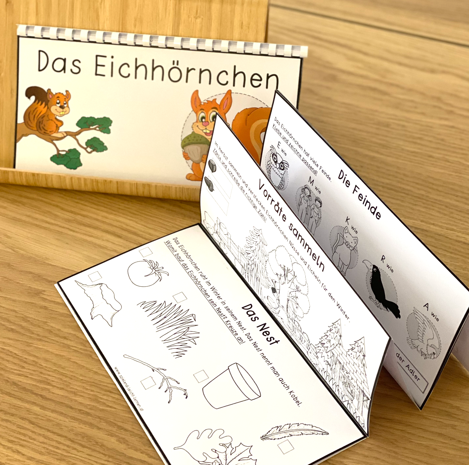 Interaktives Eichhörnchen Klapp- und Faltbuch